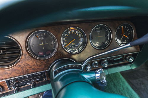 male Ford TunderBird_51