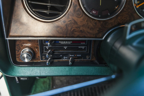 male Ford TunderBird_52