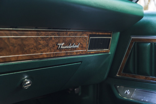 male Ford TunderBird_53