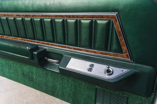 male Ford TunderBird_55