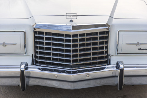 male Ford TunderBird_6