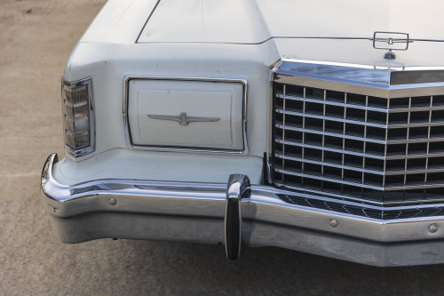 male Ford TunderBird_7