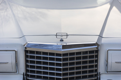 male Ford TunderBird_8