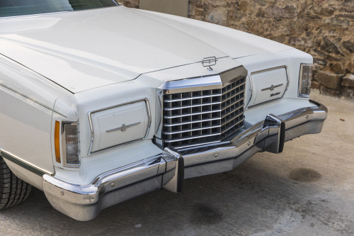 male Ford TunderBird_9