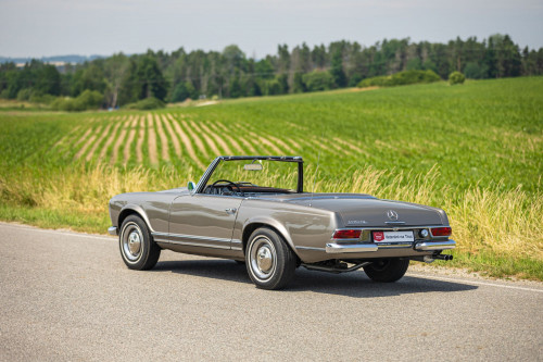 MB Pagoda 230 low_44.JPG