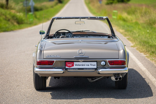 MB Pagoda 230 low_45.JPG