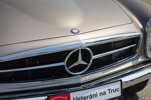 MB Pagoda 230 low_63.JPG