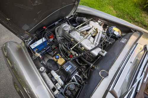 MB Pagoda 230 low_7.JPG