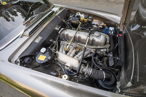 MB Pagoda 230 low_9.JPG