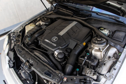 Mercedes Benz CL55AMG F1_31