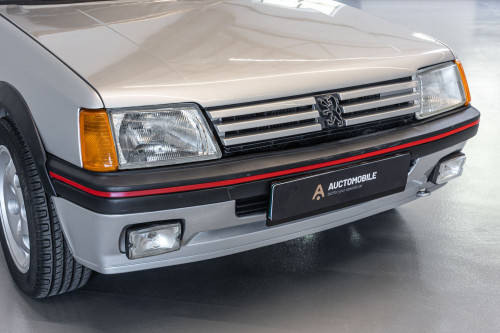 Peugeot 205 GTi_10.JPG