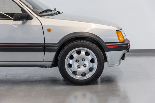 Peugeot 205 GTi_18.JPG