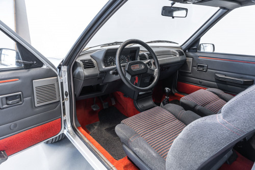 Peugeot 205 GTi_28.JPG