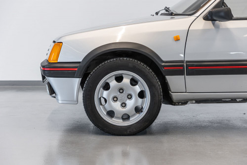 Peugeot 205 GTi_4.JPG