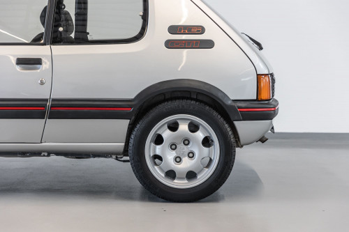 Peugeot 205 GTi_5.JPG